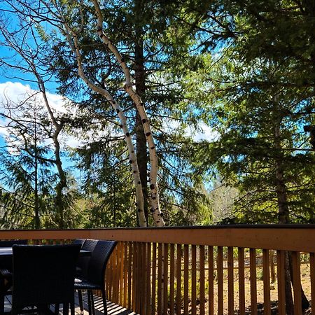 Timber Wolf Villa Woodland Park Exterior photo